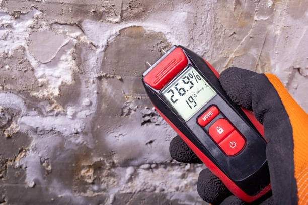 Best Commercial Mold Removal  in Agoura Hills, CA
